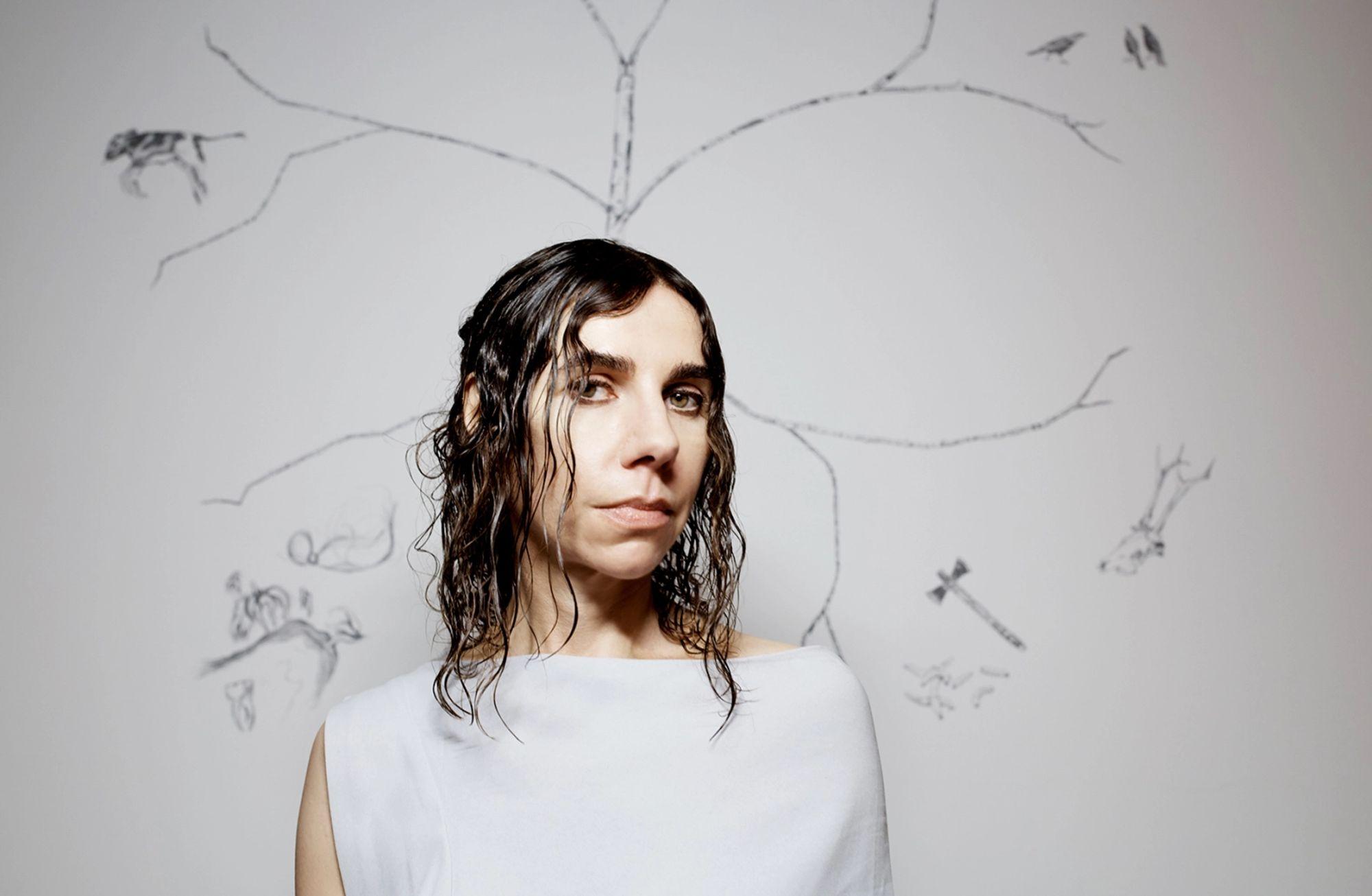 💿 PJ Harvey stüdyoya ve müziğe geri döndü