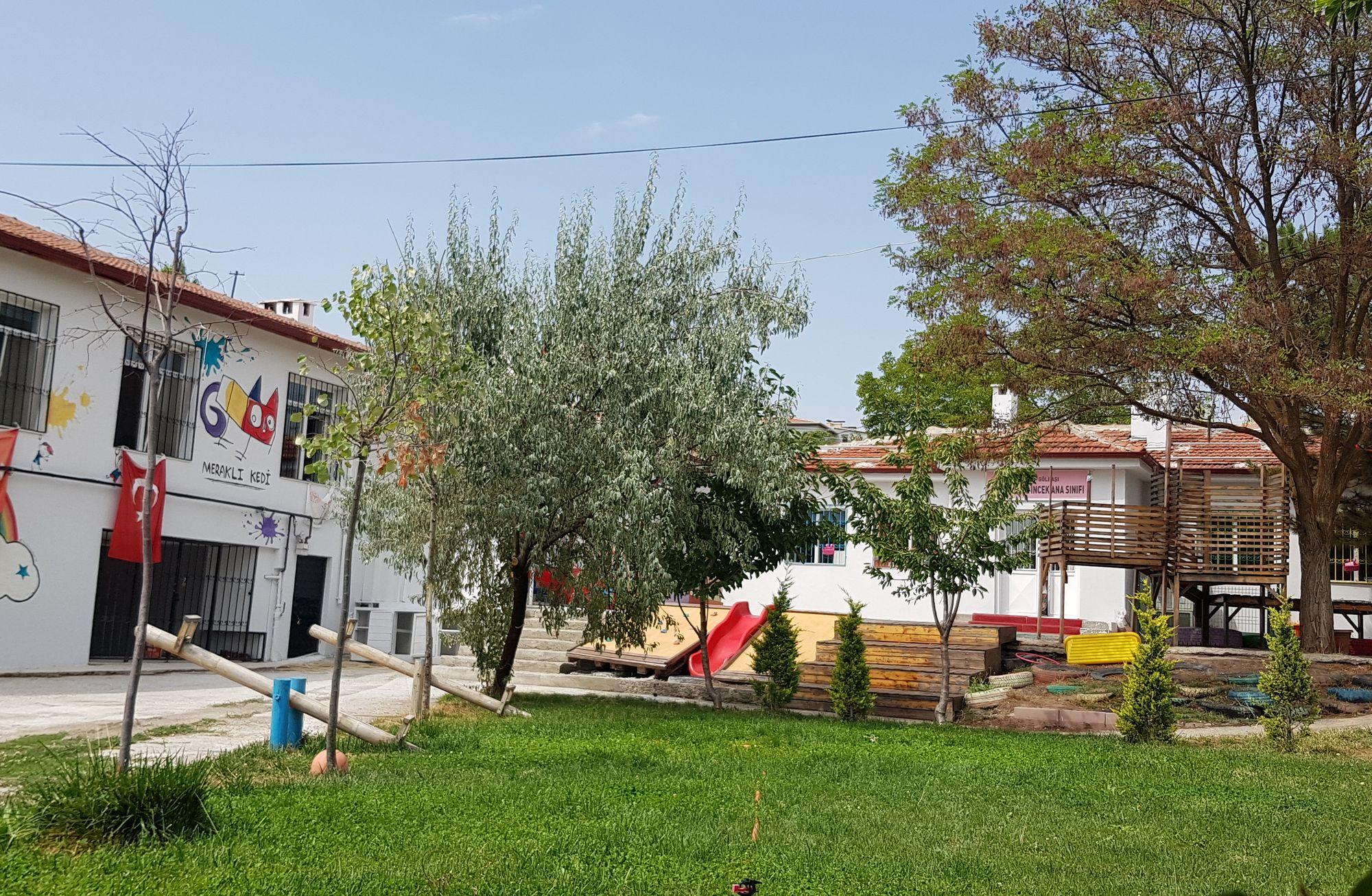 Ankara'da Başka Bir Okul Mümkün: Meraklı Kedi İlkokulu
