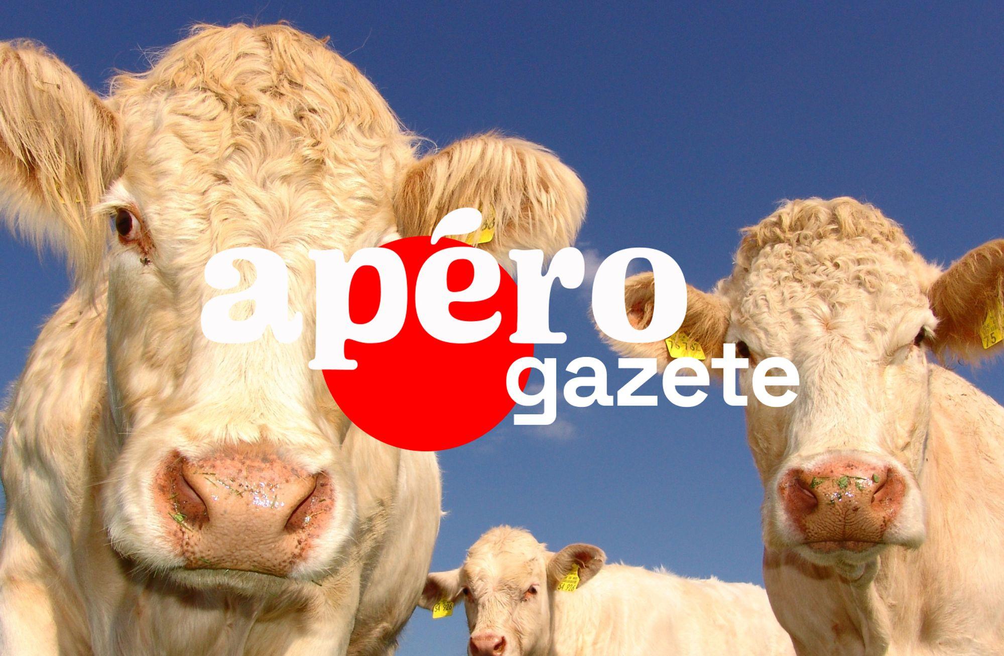 Süt reklamlarındaki pastoral sahneler gerçeği gizliyor