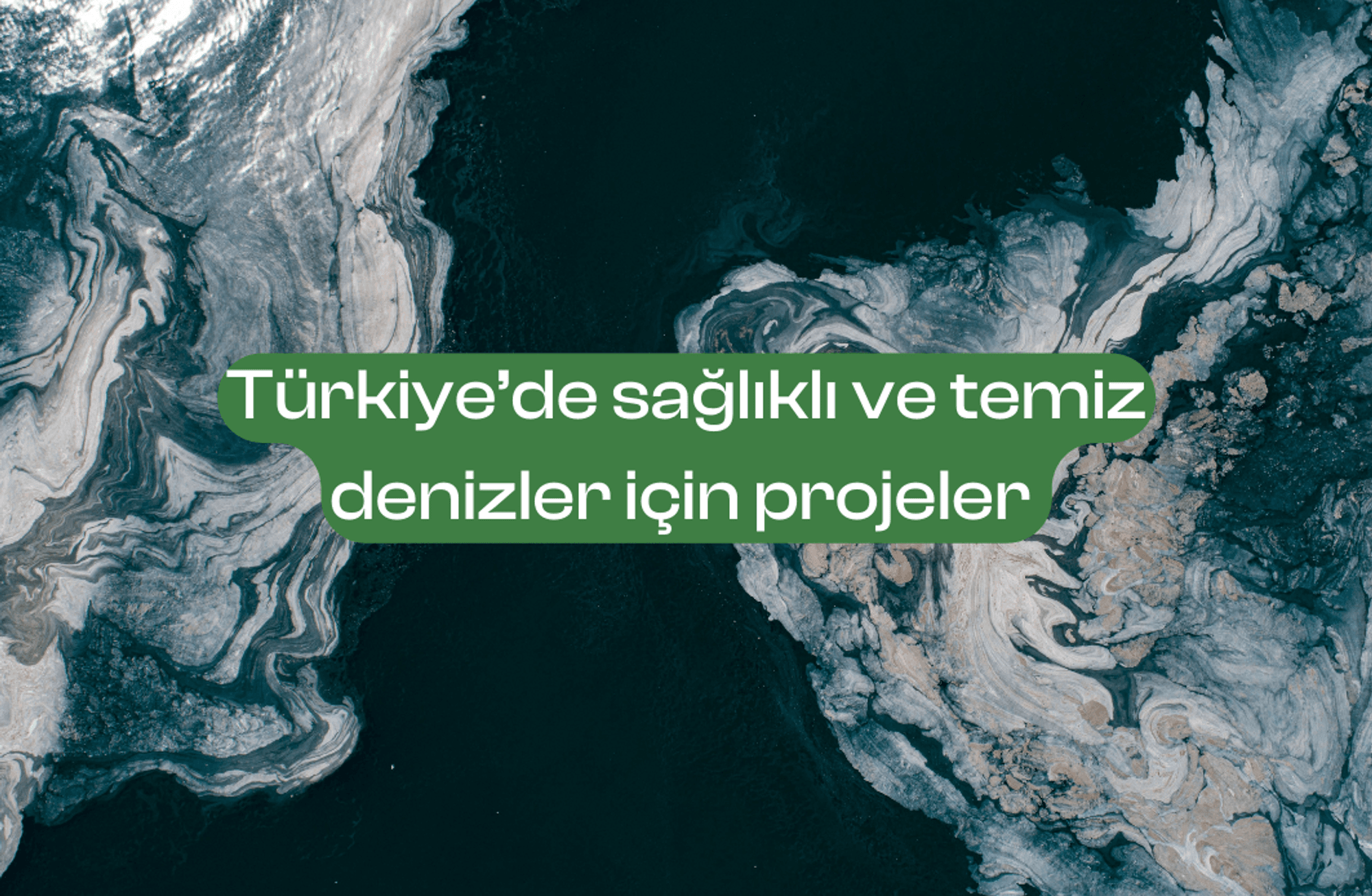 Türkiye'de sağlıklı ve temiz denizler için projeler