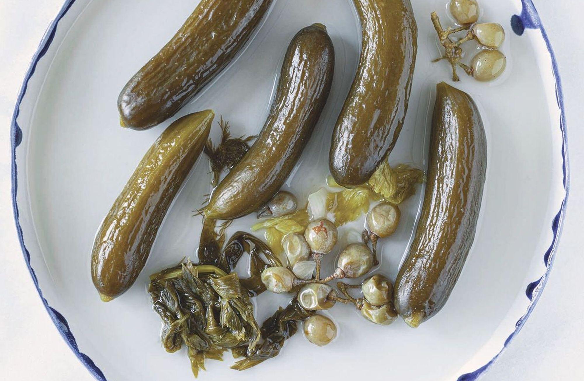 Salatalık turşusu