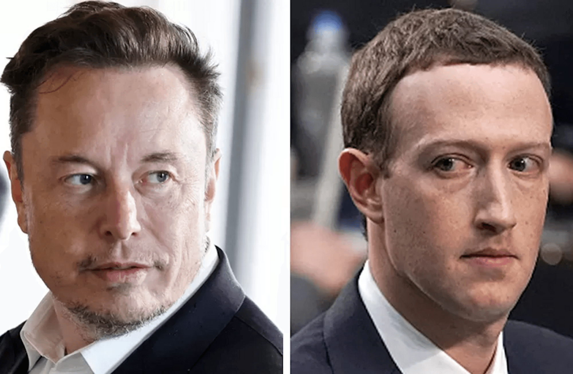Musk vs. Zuckerberg