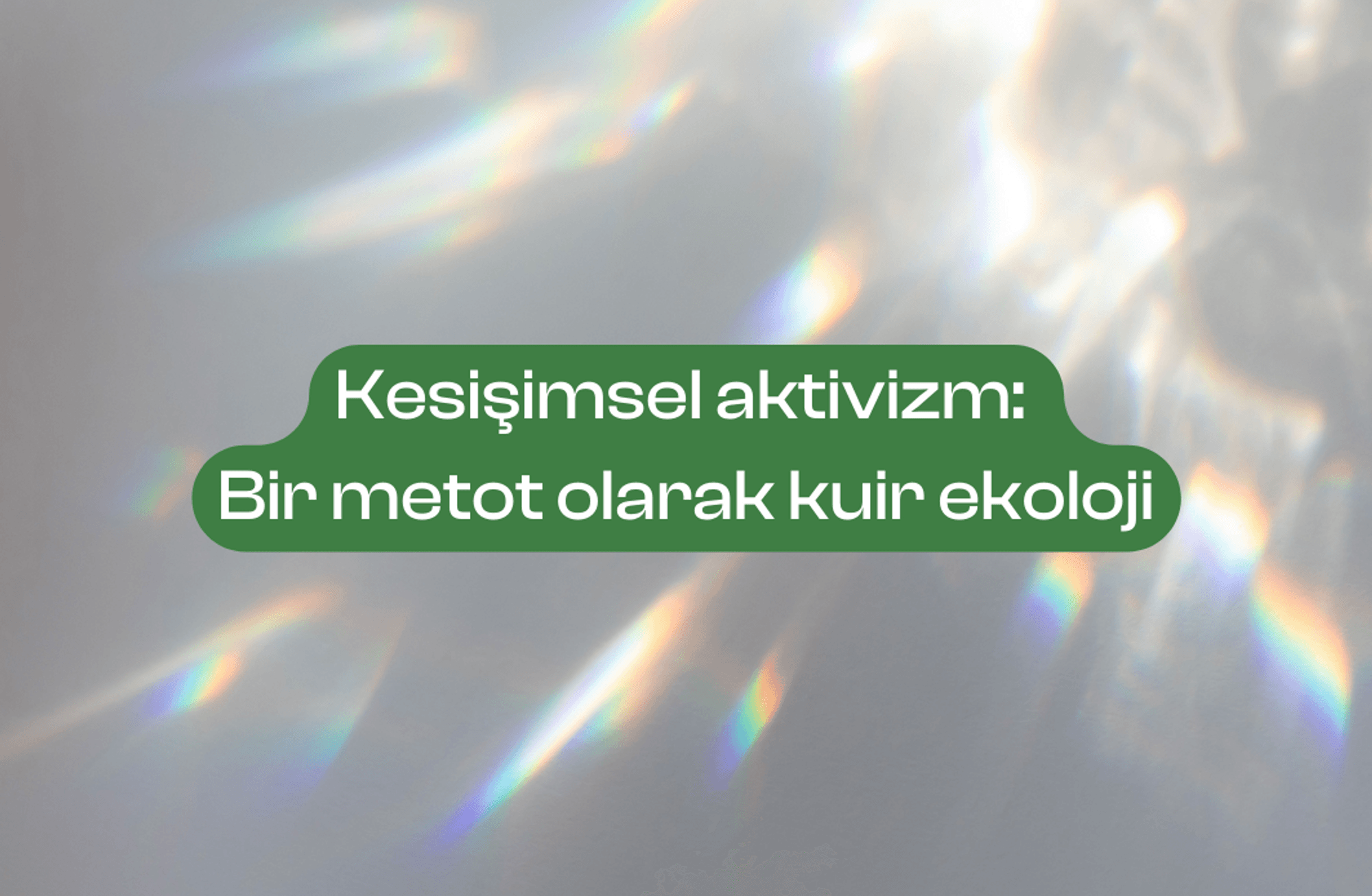 Kesişimsel aktivizm: Bir metot olarak kuir ekoloji