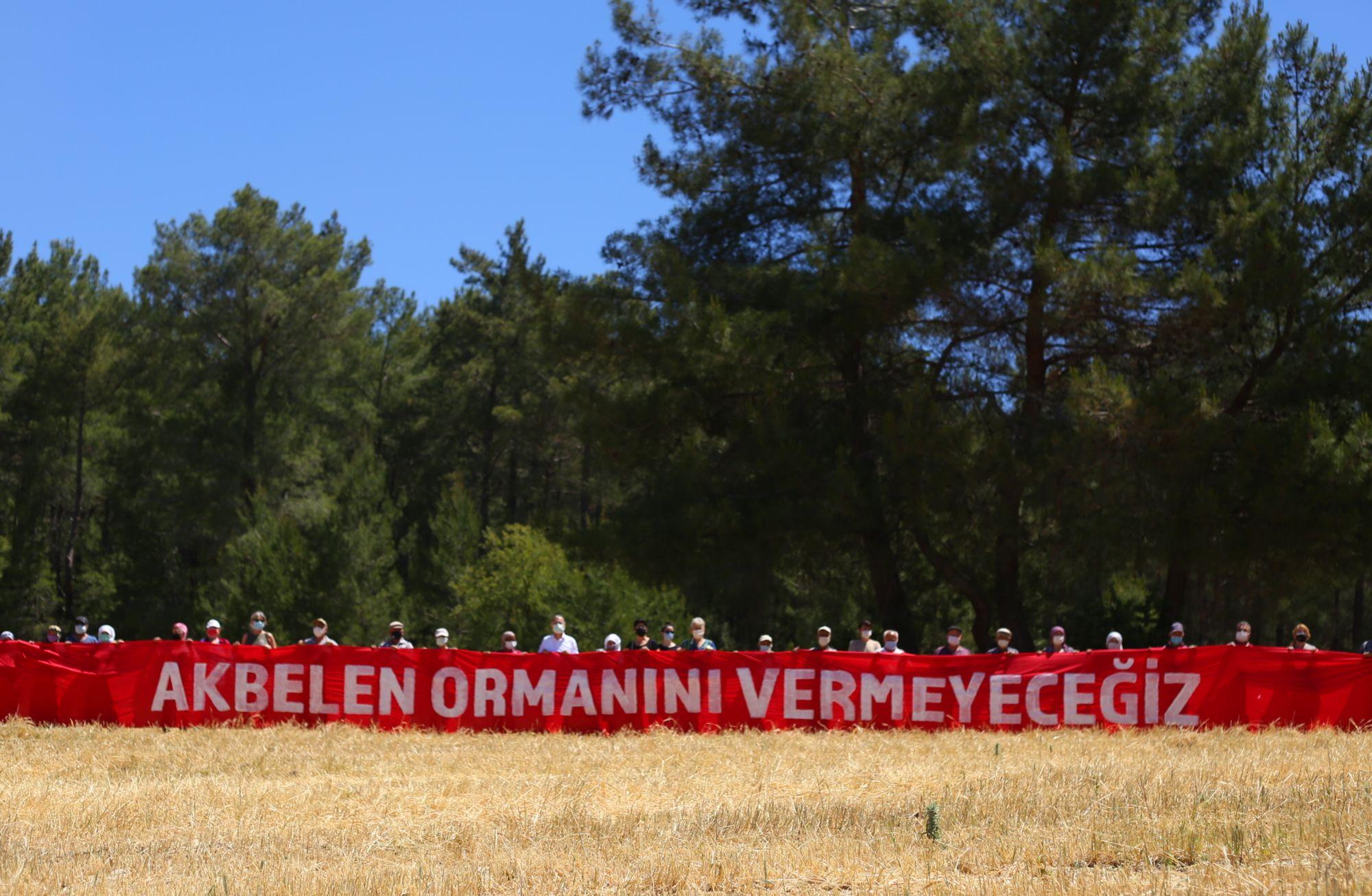 Akbelen Ormanı neden savunulmalı?