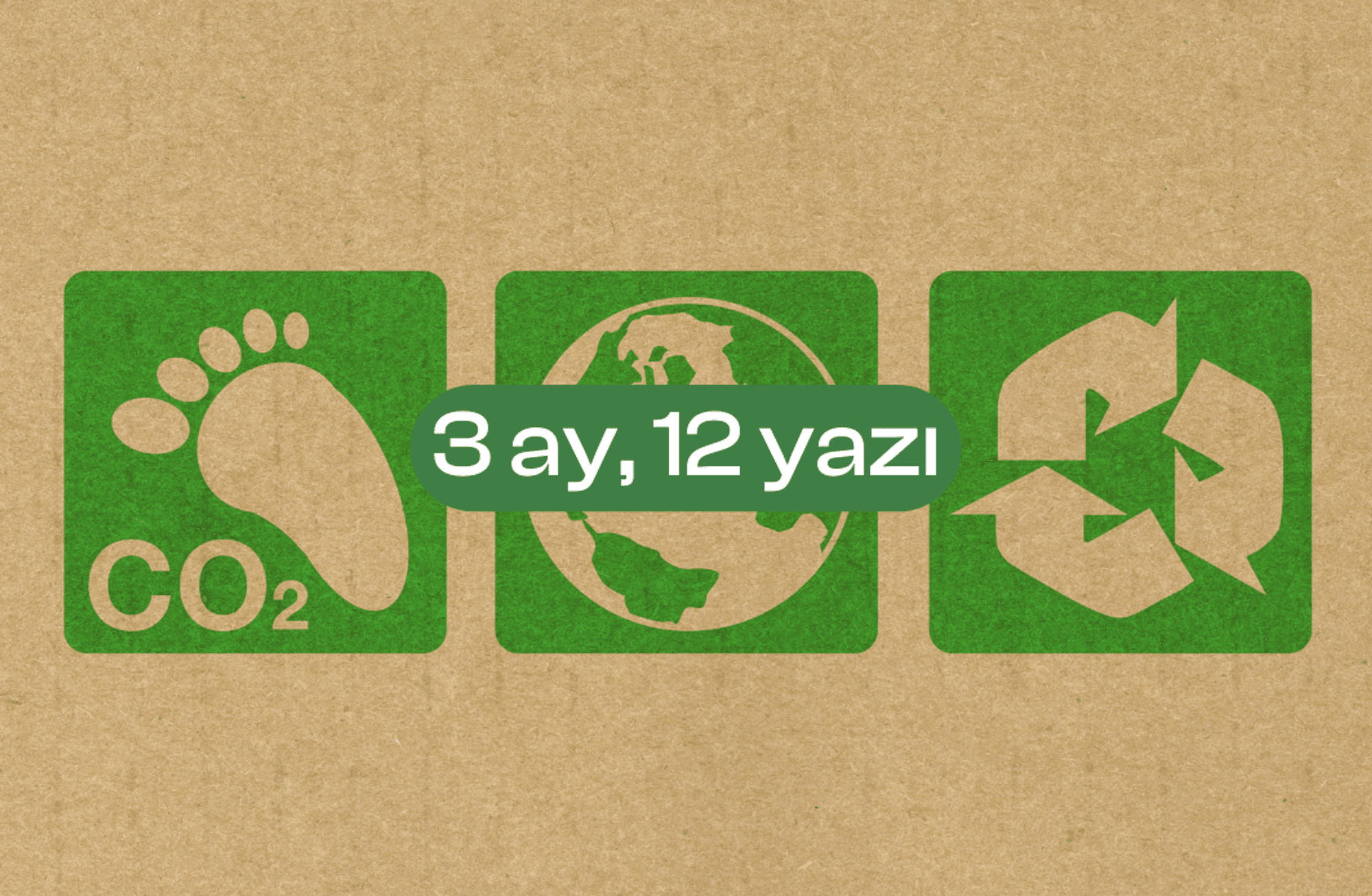 3 ay, 12 yazı