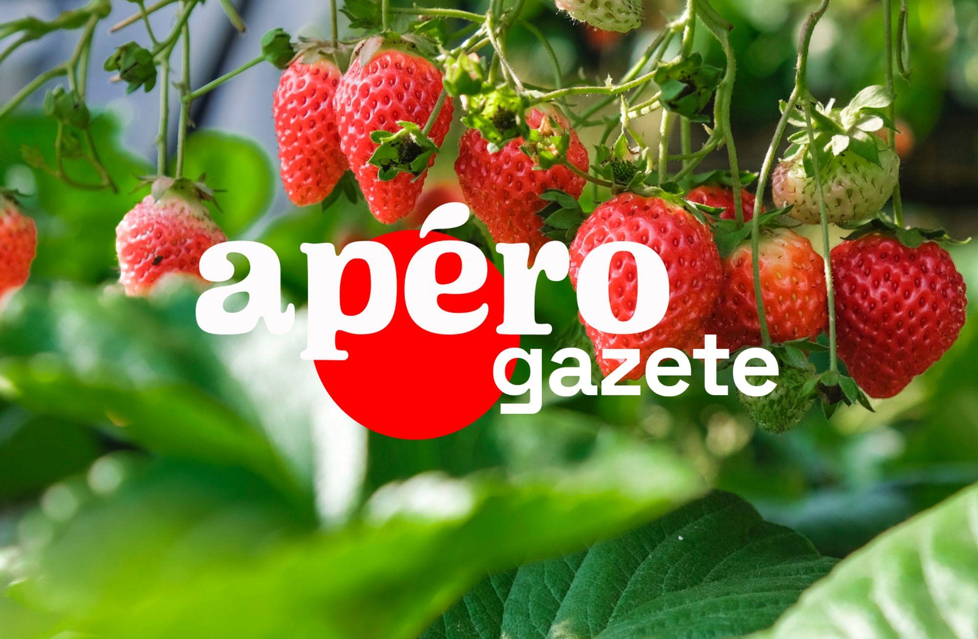 Bayer çilek pazarına girdi
