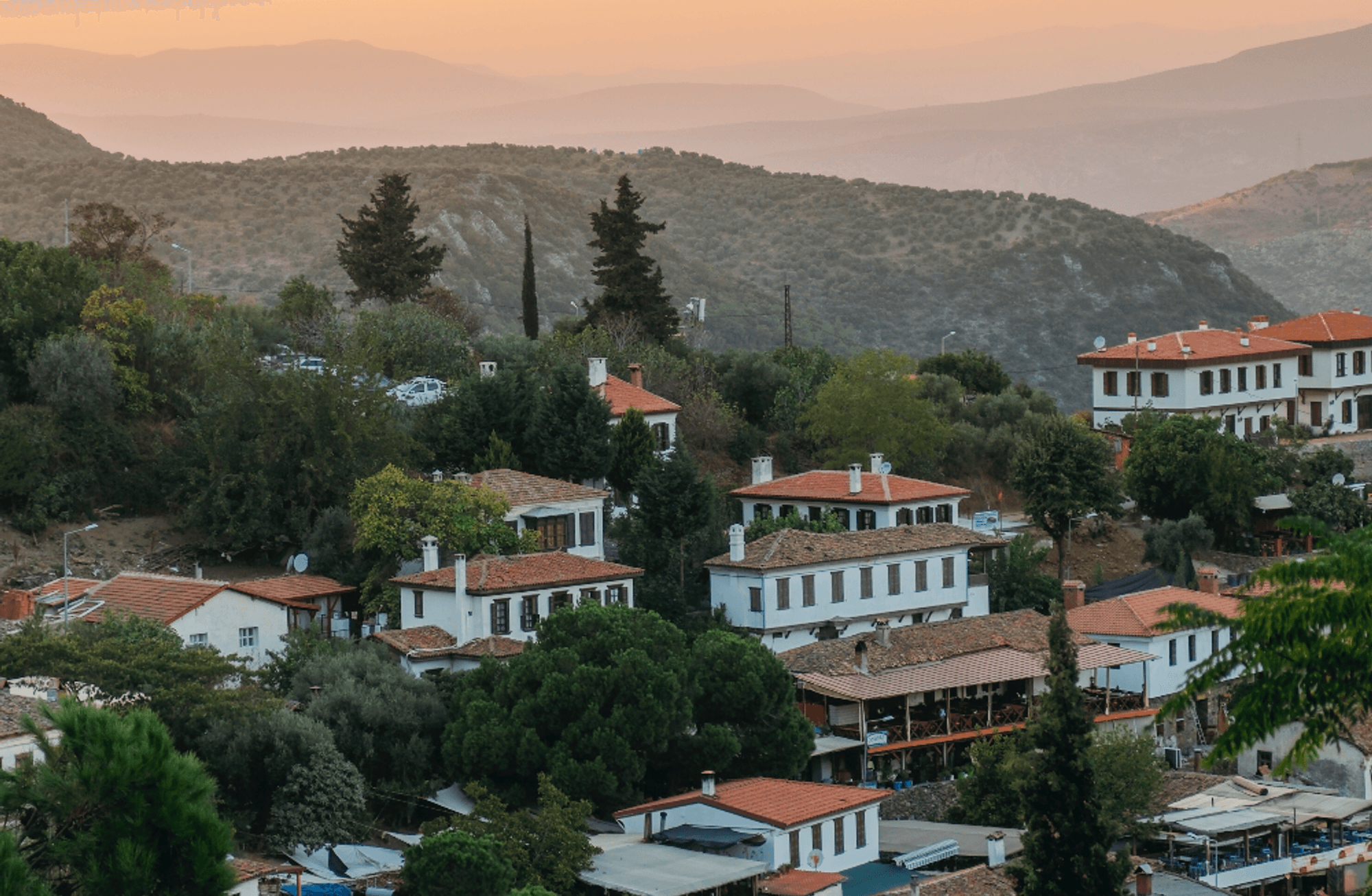Şirince’ye, zeytine, Efes’e ve bir aradalığa dair 