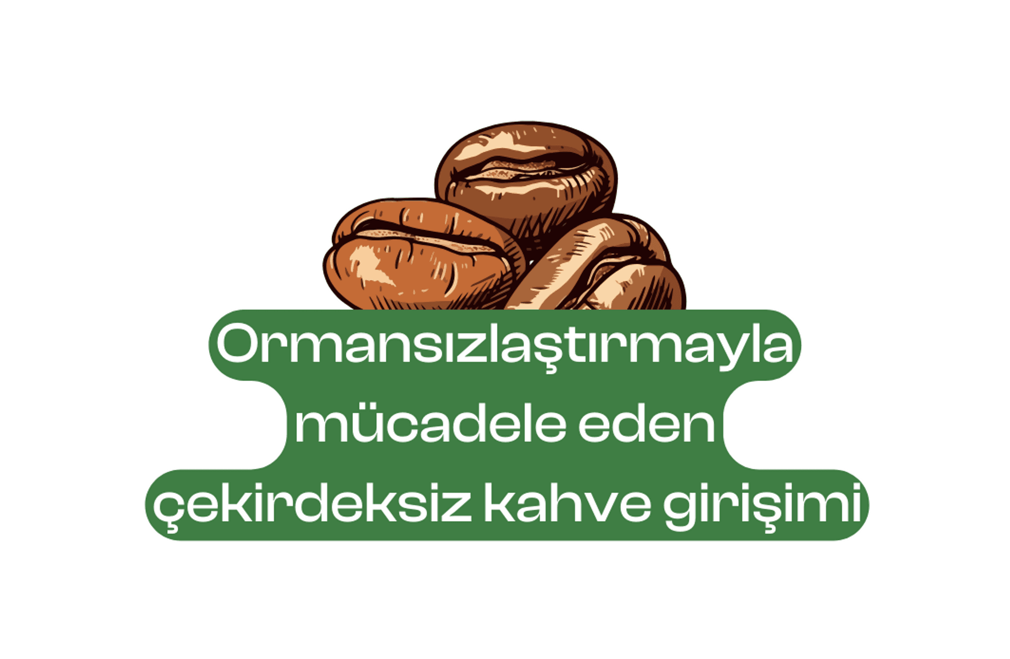 Ormansızlaştırmayla mücadele eden çekirdeksiz kahve