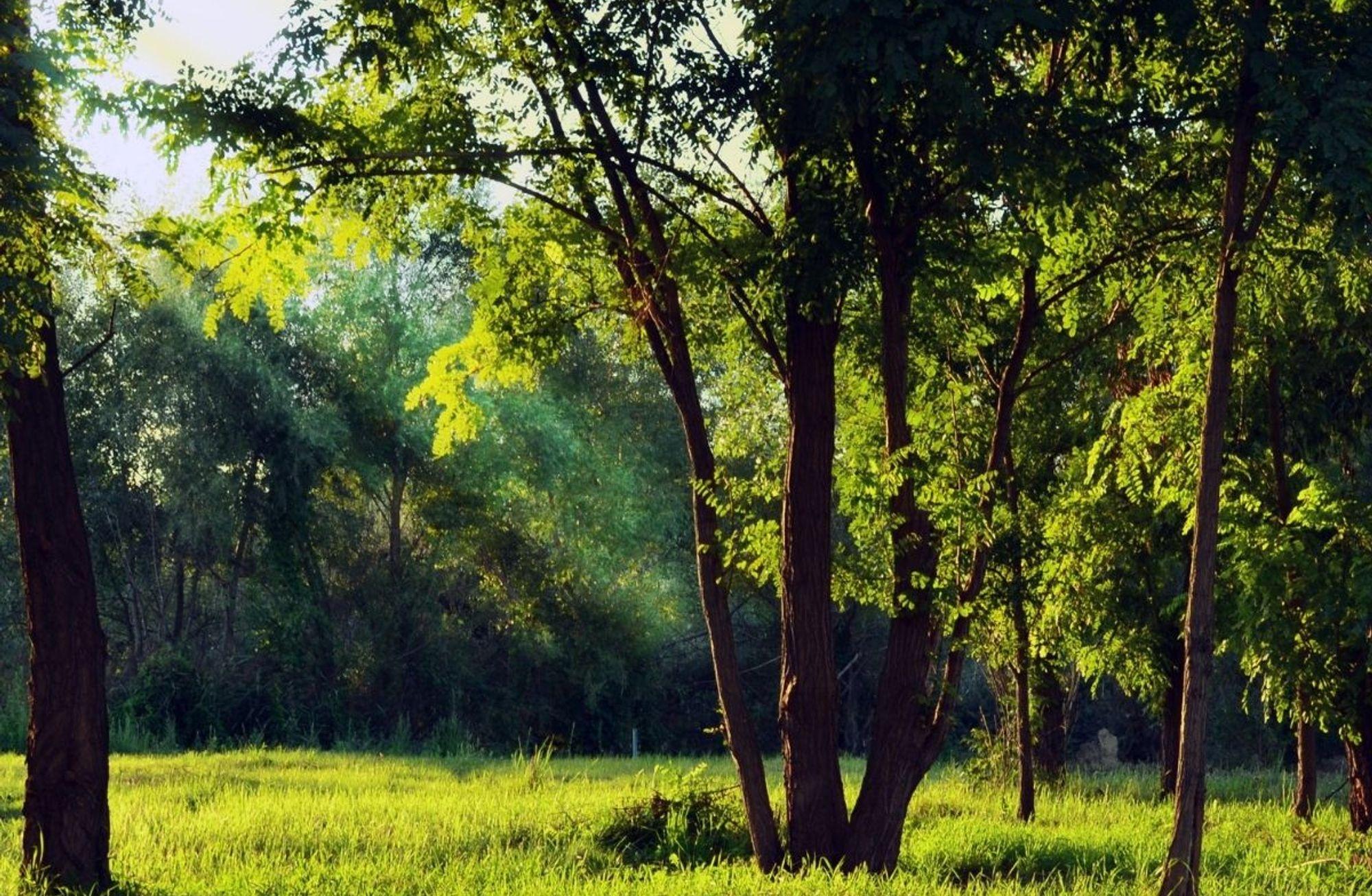 Yeni yılda bize ve dünyamıza iyi gelecek yeni alışkanlıklar