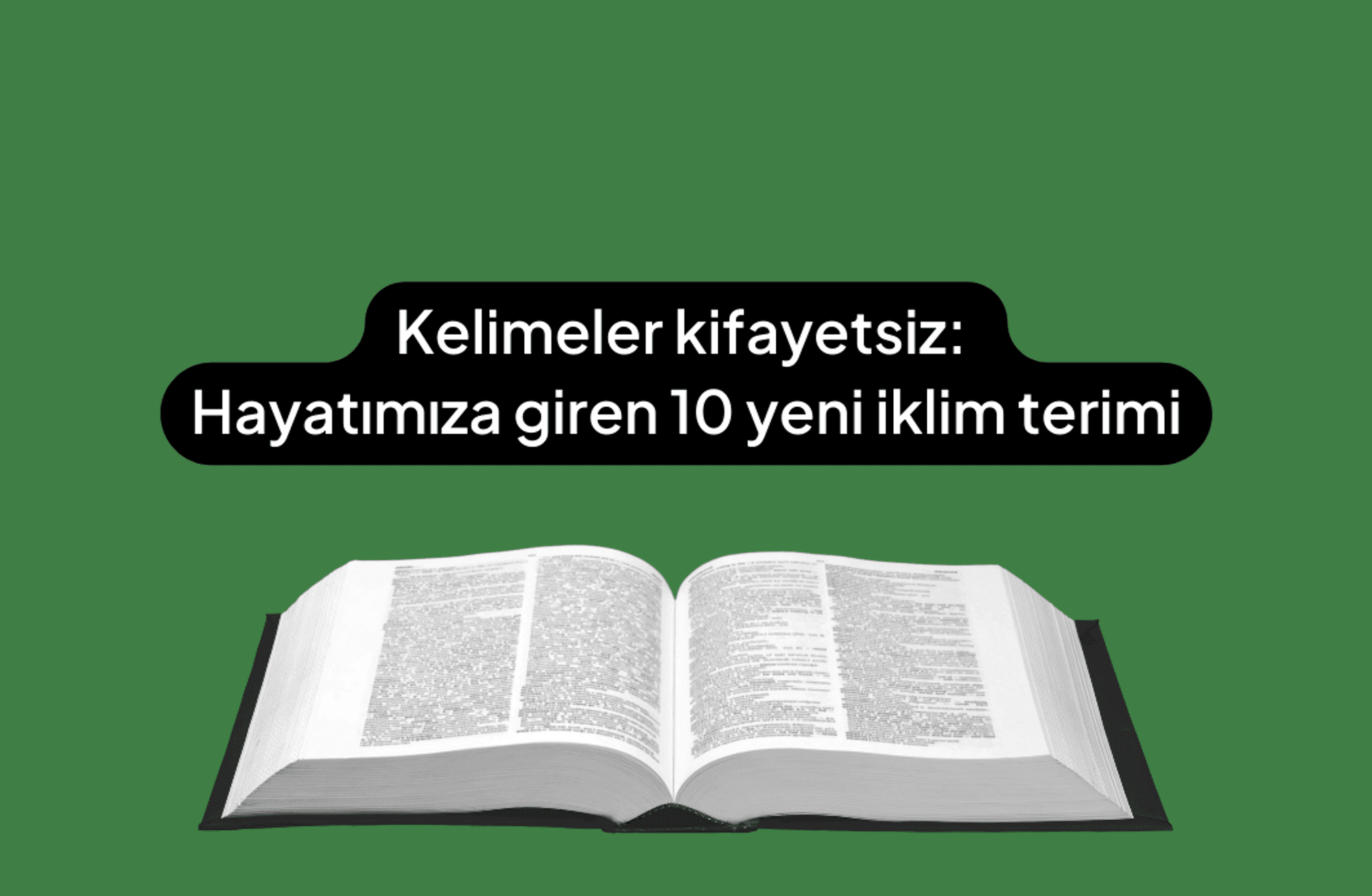Kelimeler kifayetsiz: Hayatımıza giren 10 yeni iklim terimi