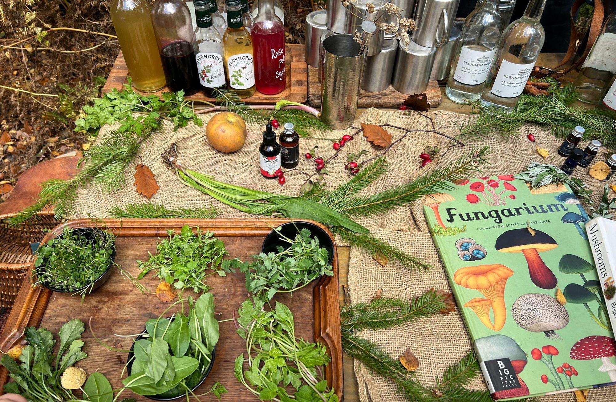 
Doğayla Yeniden Bağ Kurmak: Bir Foraging Deneyimi