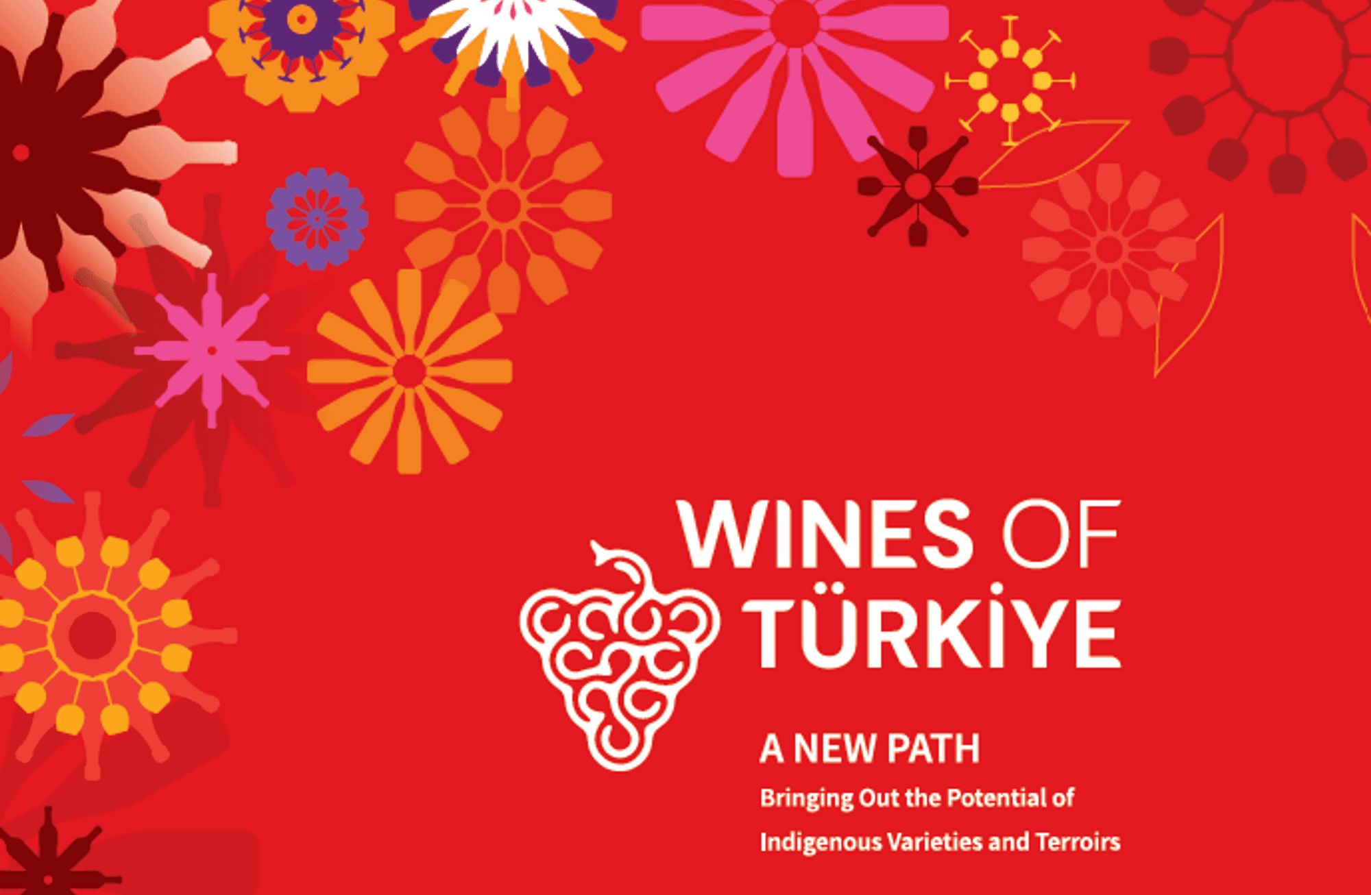 Gözdem Gürbüzatik'le: Wines of Türkiye ile gelişen bağlar