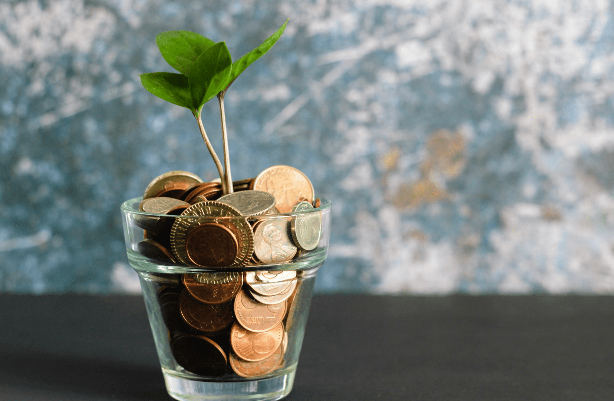 Türkiye’de sürdürülebilirliğin finansmanı