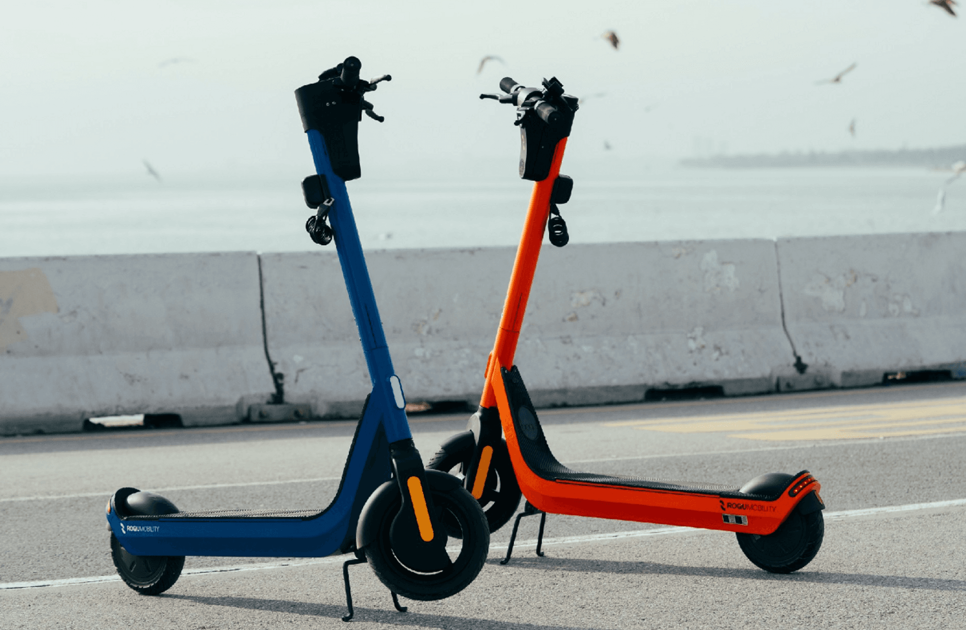 Yerli e-scooter ROQU Türkiye pazarında