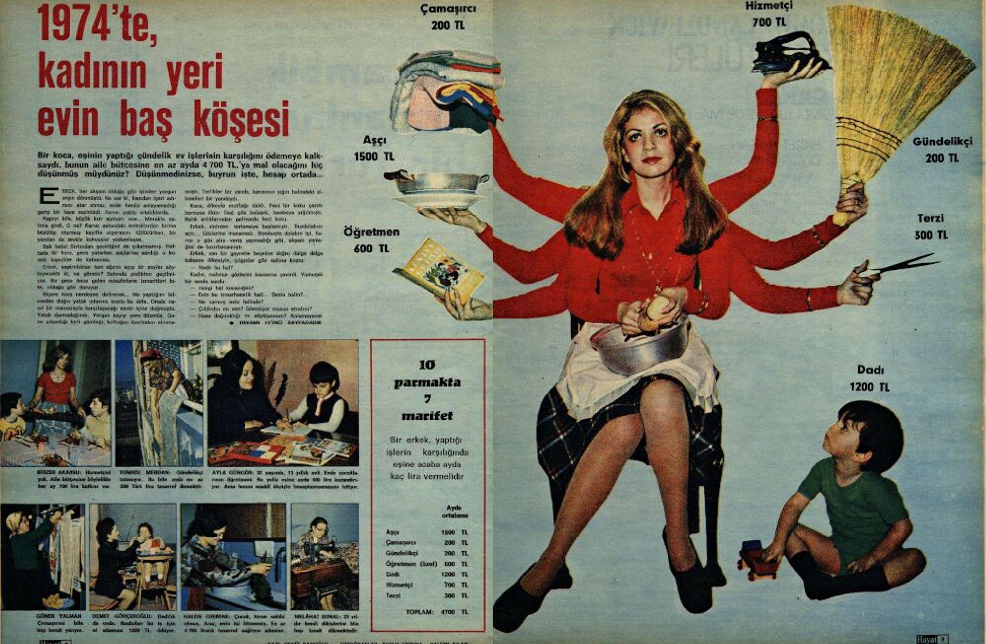 Ev işlerini ayarlamama enstitüsü