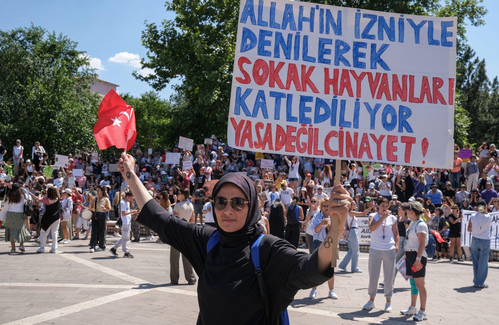 Hayvanları Koruma Kanunu Değişikliği ile Ne Amaçlanıyor?