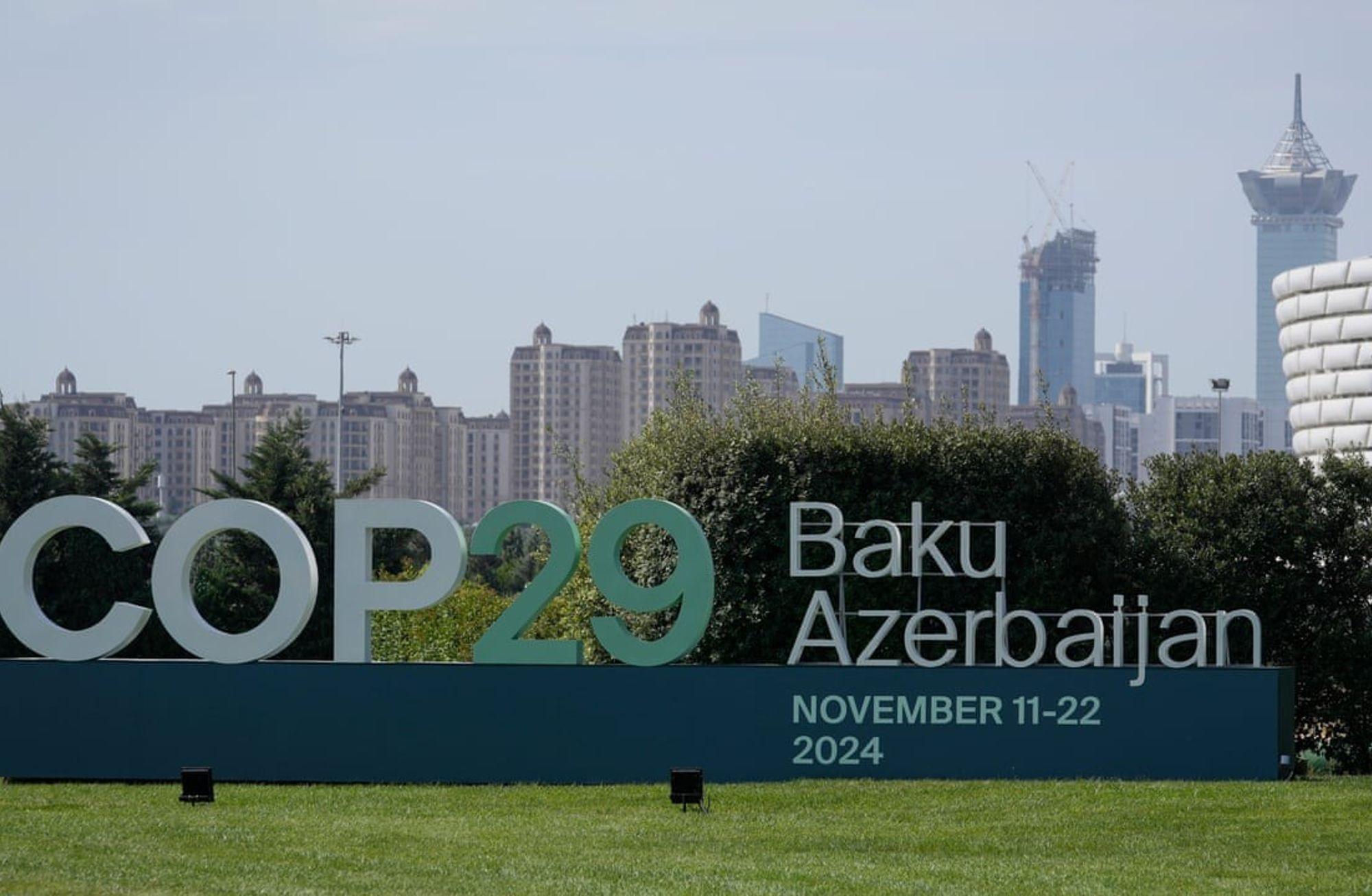 COP29'a giderken: IMF ve Dünya Bankası toplantılarının ardından