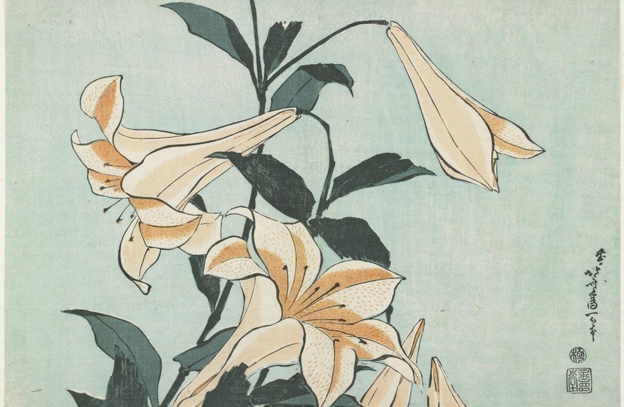 Hayalet dalga ya da bir ışıltı: Hokusai ve Han Kang'ın izinde