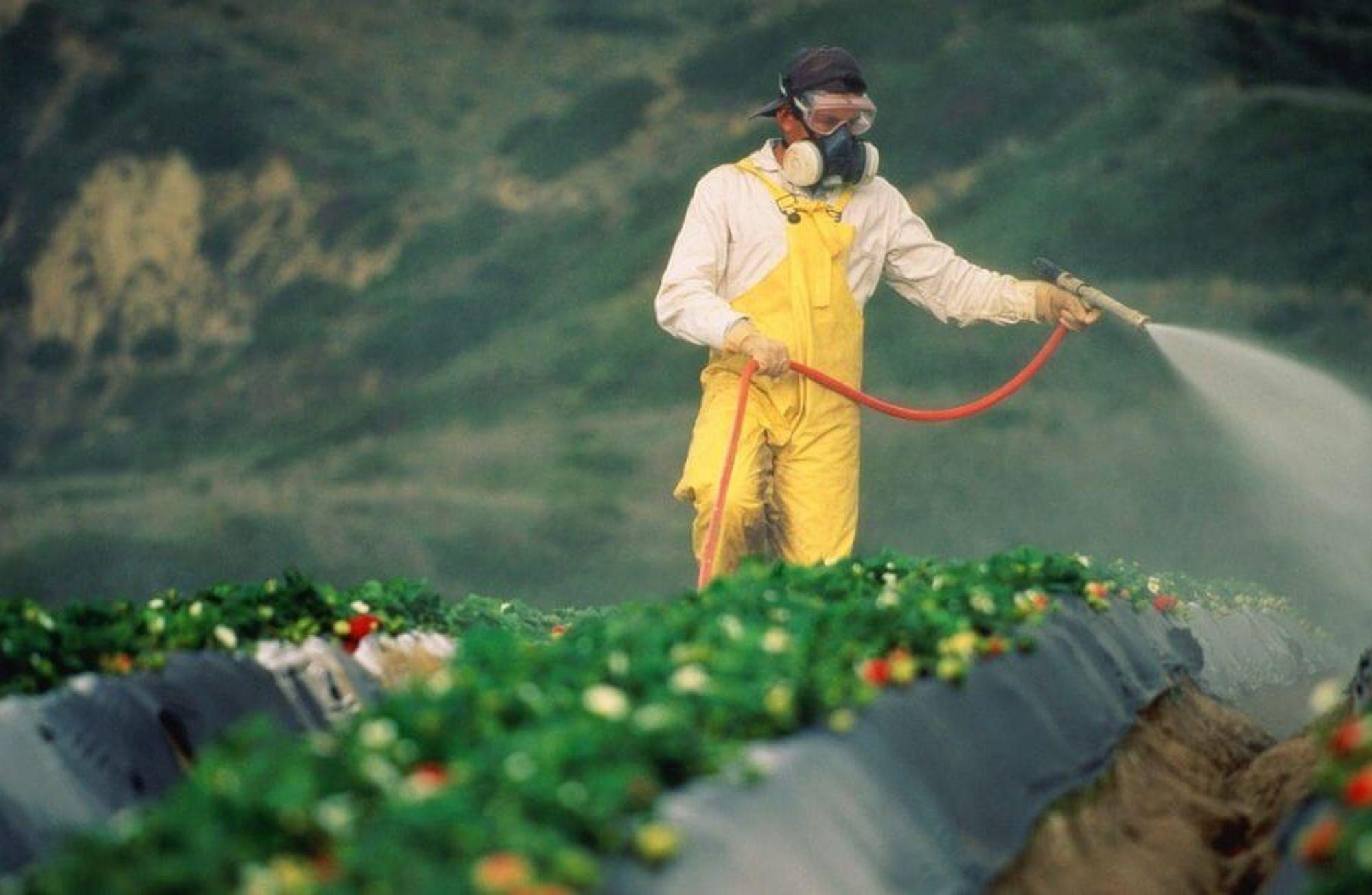 Bir gıda hakkı davasının anatomisi: Greenpeace'in Zehir Etme kampanyası emsal olabilir mi?
