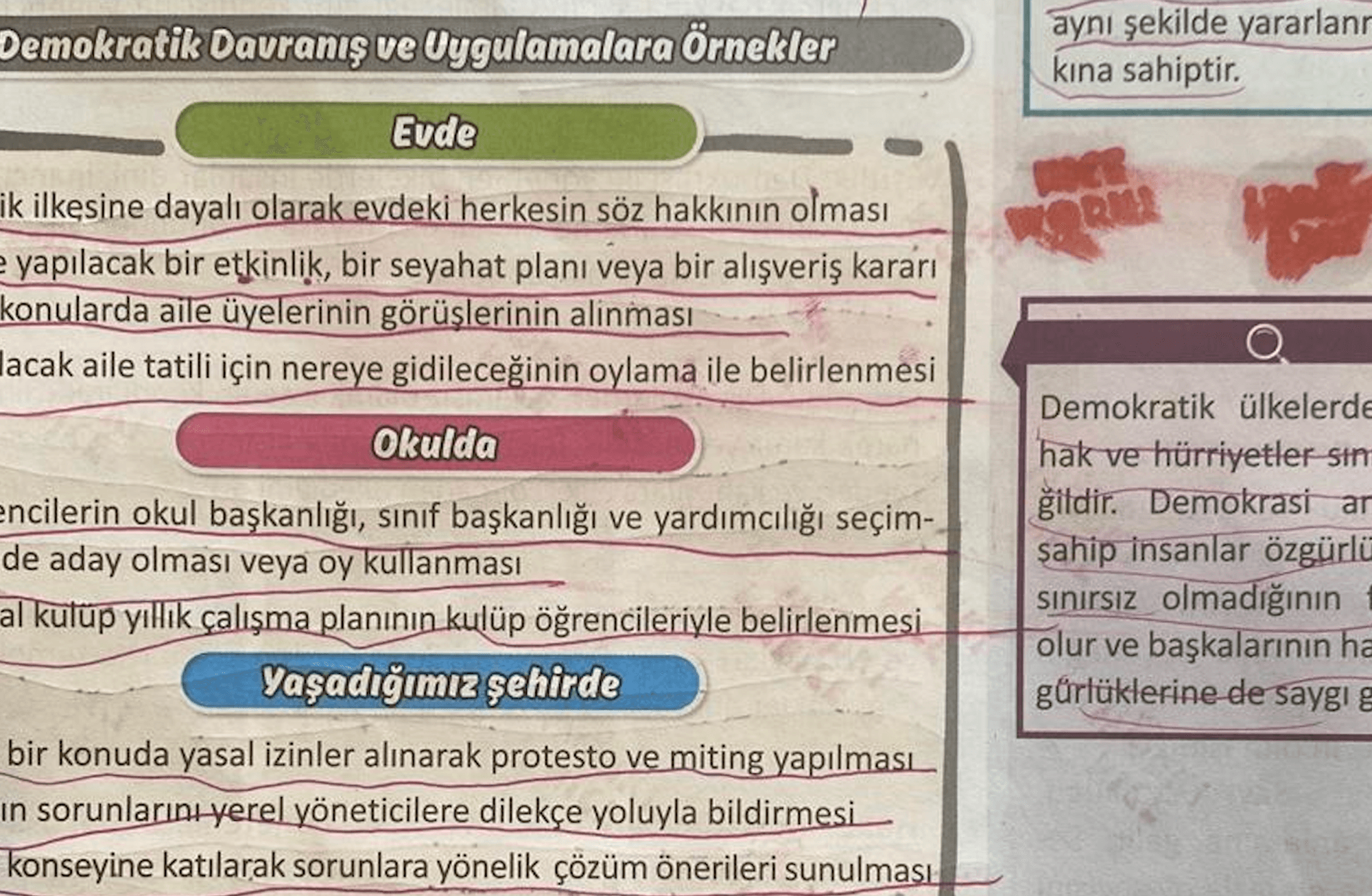 'Yaşayan demokrasimiz': Okulda öğretilen demokrasi sokakta bulunamıyor