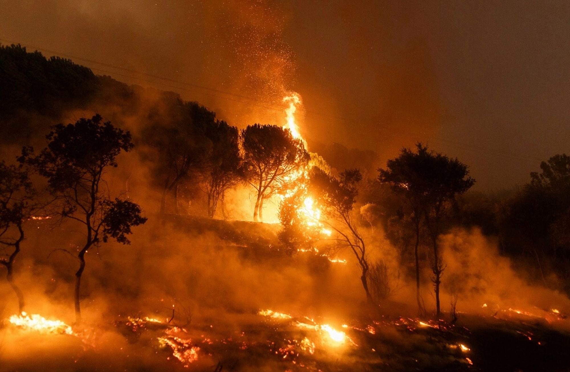 Different summer, same problem: Wildfires continue to rage across Turkey