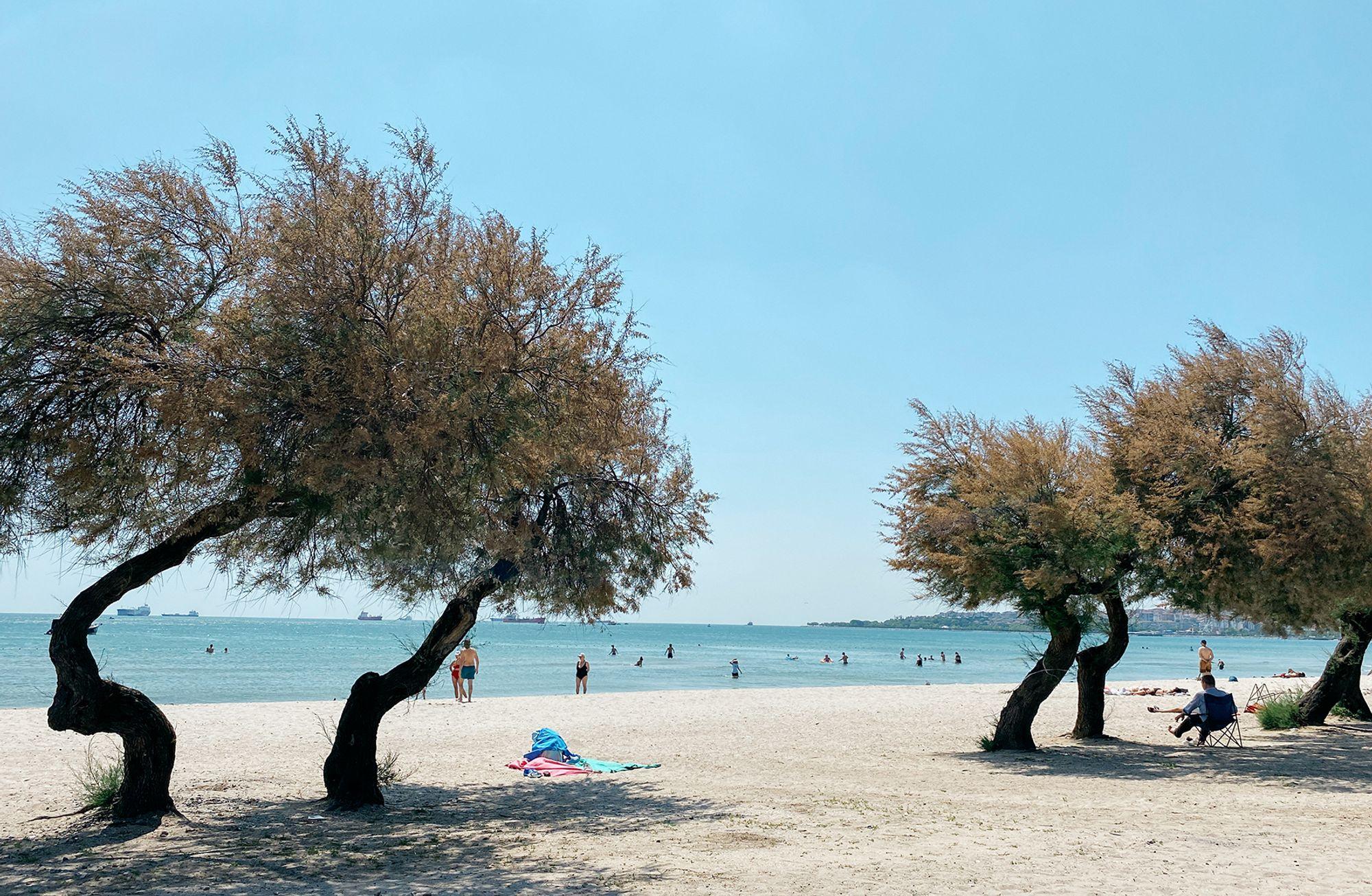 Dünden bugüne İstanbul'un denizinde yüzmek