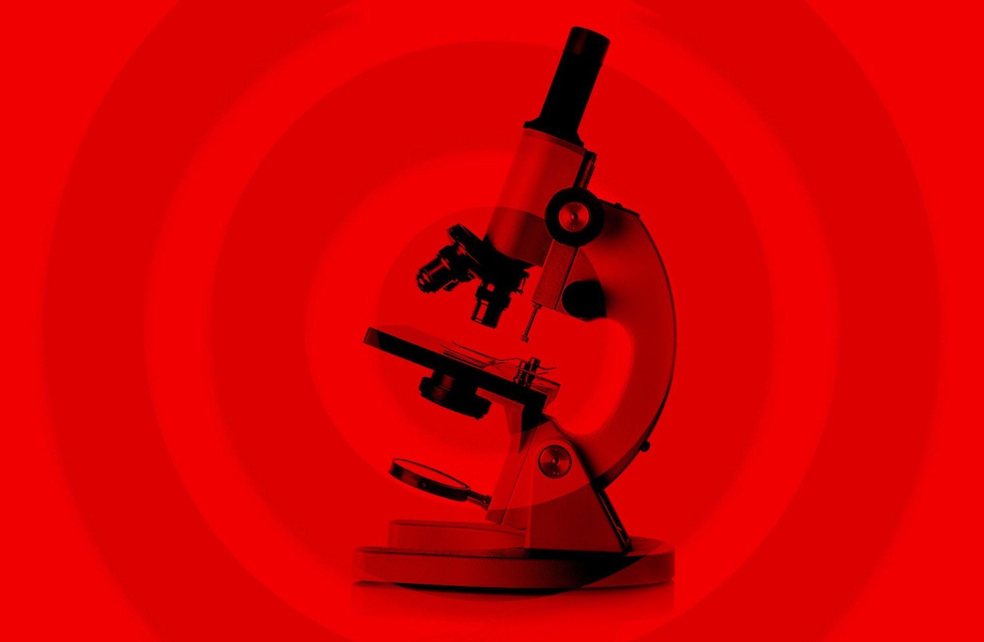 Dilin kurduğu hiyerarşi: Bilim insanları neden anlaşılmaz bir dil kullanıyor?