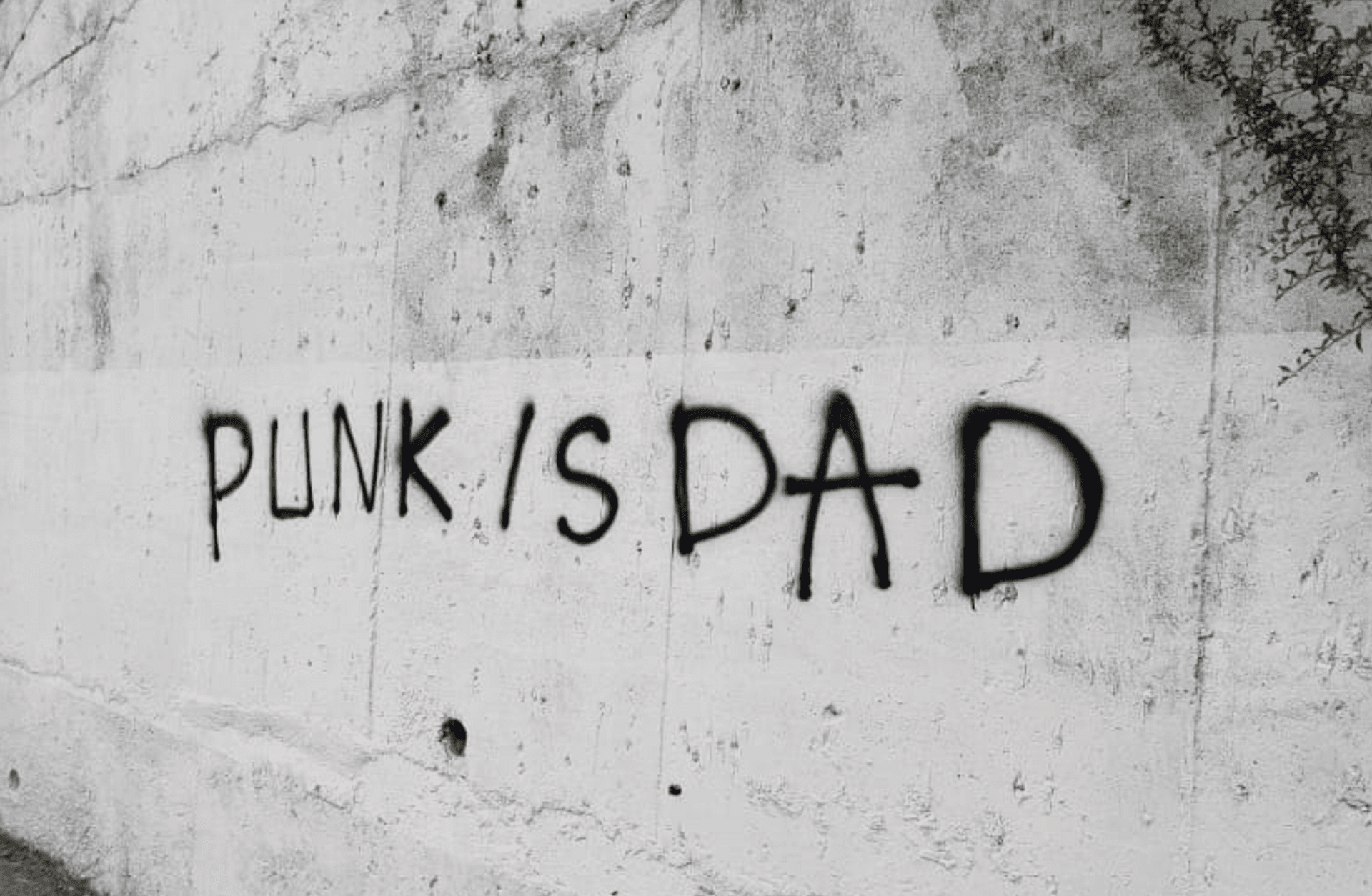 Babaların gölgesi yetmesin: Şefkat yeni punk’tır