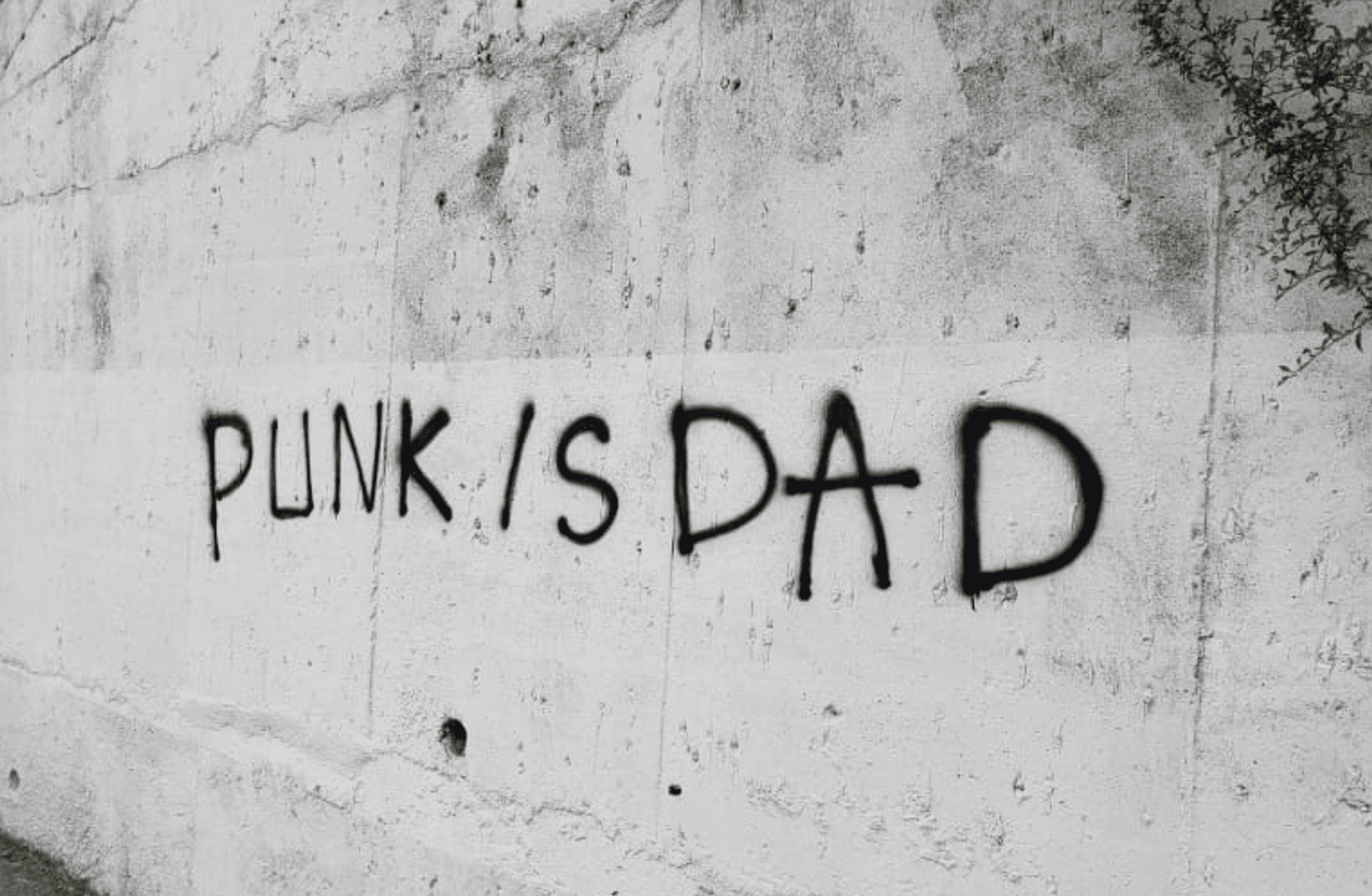 Babaların gölgesi yetmesin: Şefkat yeni punk’tır