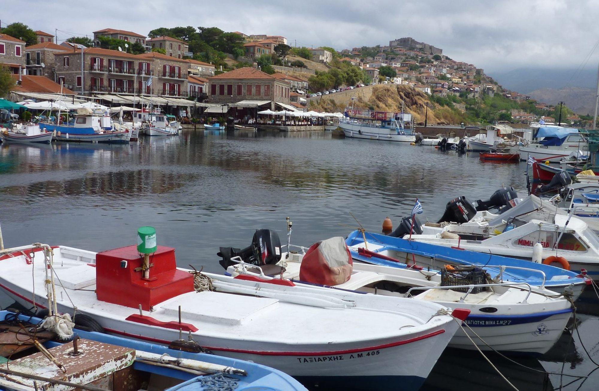 Midilli'de nerede yenir? Tavernalar ve restoranlar