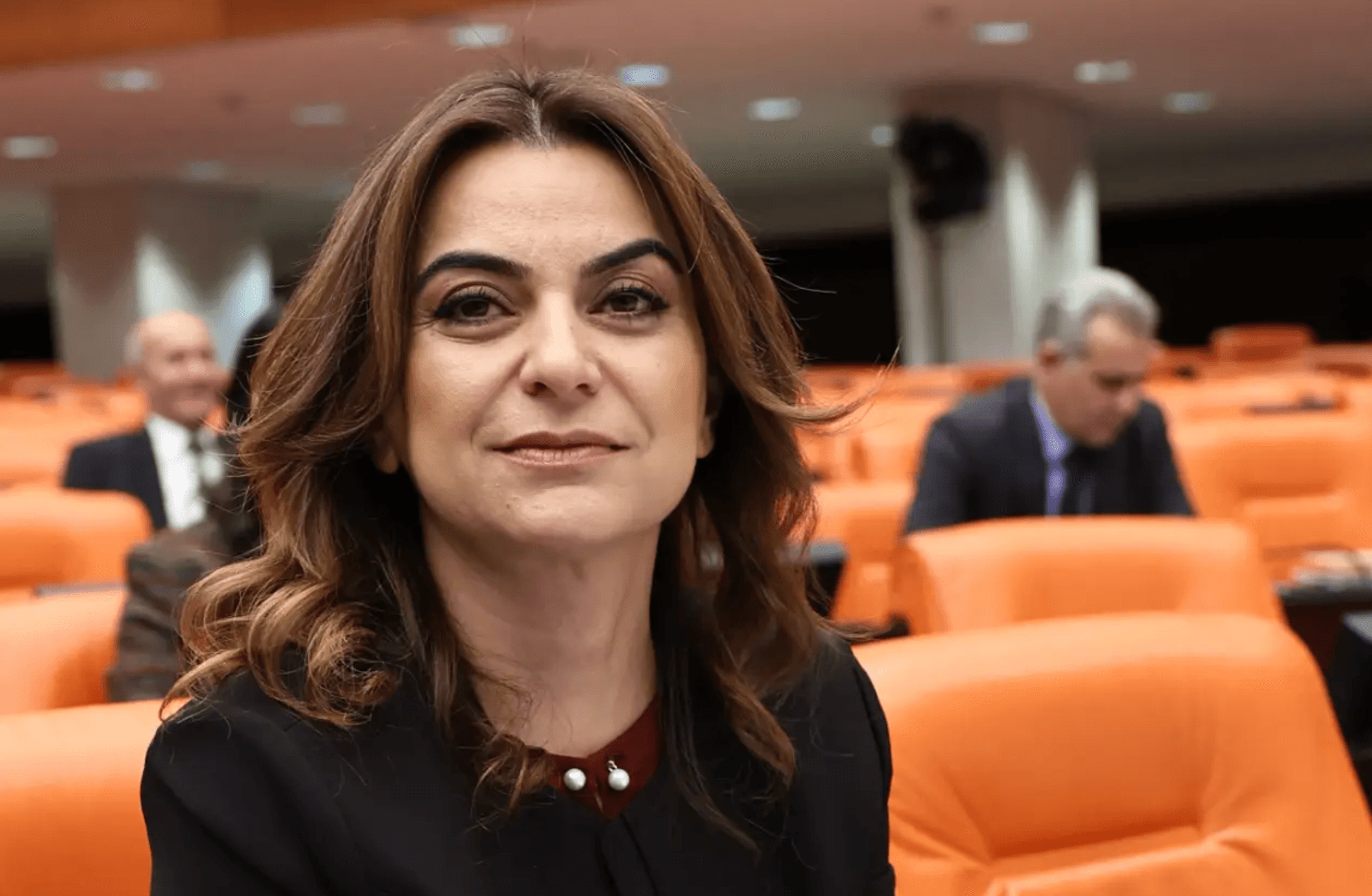 DEM Parti Grup Başkanvekili Koçyiğit anlattı: Çerçeve yasadan sonra hangi adımlar gündeme taşınacak?