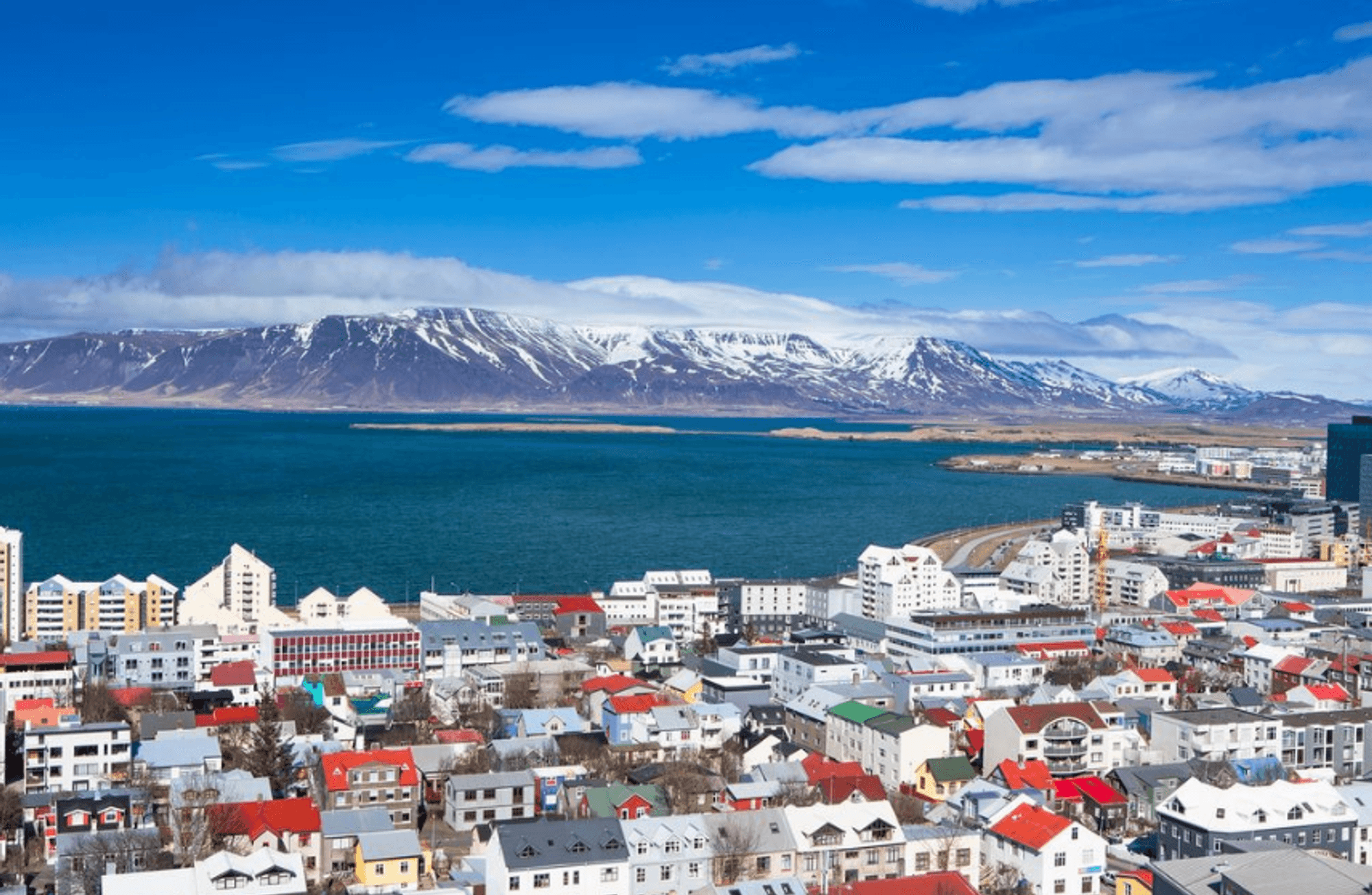 Klişelerden uzak Reykjavík turu: Bir günde 10 yerel durak