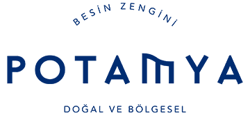 Potamya 31 Aralık