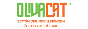 24 Ocak - Olivacat