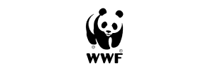 21 Mart - WWF - Gündem