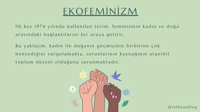Ekofeminizm Nedir?