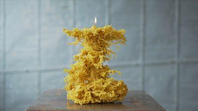 Bocci | Candle64