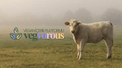 VEGvorous