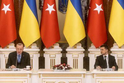 Ukrayna görüşmesi: ara buluculuk ve anlaşmalar