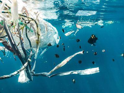 Plastik ve tekstilde %100 geri dönüşüm buradan başlıyor: Carbios