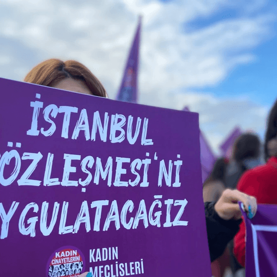 İstanbul Sözleşmesi: Dava, veri, AKPM kararı