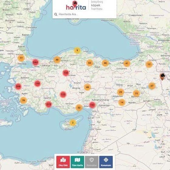 "Başıboş Köpek Haritası" tartışmaları: koruyor mu, öldürüyor mu?