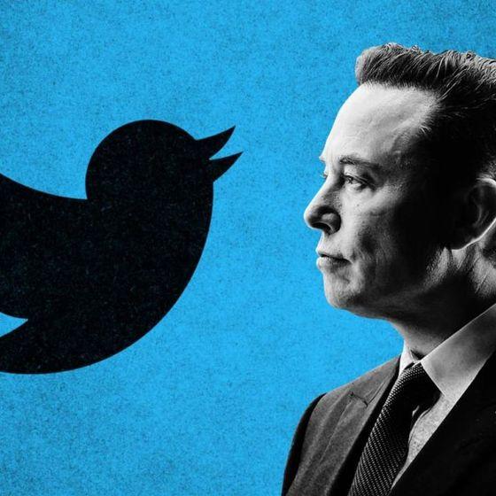 "Kuş serbest kaldı": Elon Musk yönetiminde "yeni" Twitter