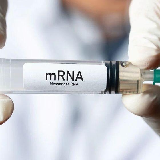 Kanserin tedavisi, mRNA teknolojisinde mi saklı?