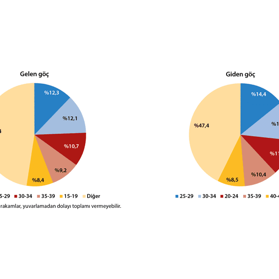 TÜİK Göç İstatistiklerini yayımladı