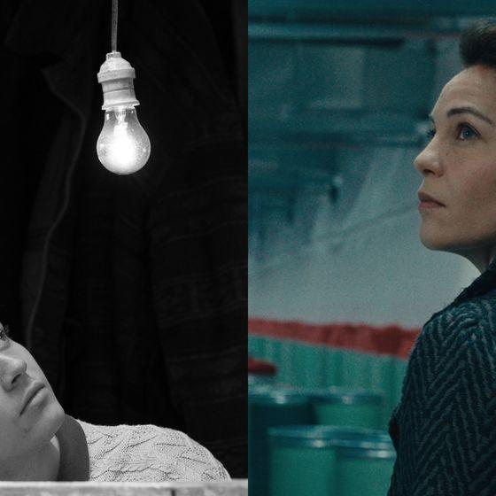 🎞️ 80. Venedik Film Festivali programı açıklandı.