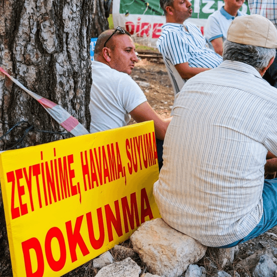 Maden ile orman arasında: Akbelen