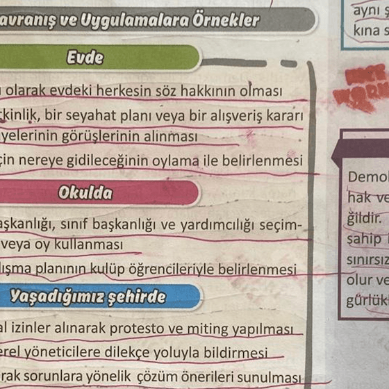 'Yaşayan demokrasimiz': Okulda öğretilen demokrasi sokakta bulunamıyor