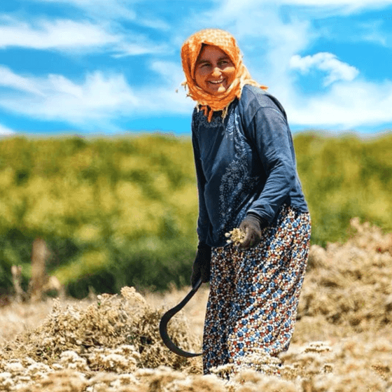 Mirasta 'anlaşmalı paylaşım' dönemi: Kadın örgütleri düzenlemeyi neden eleştiriyor?