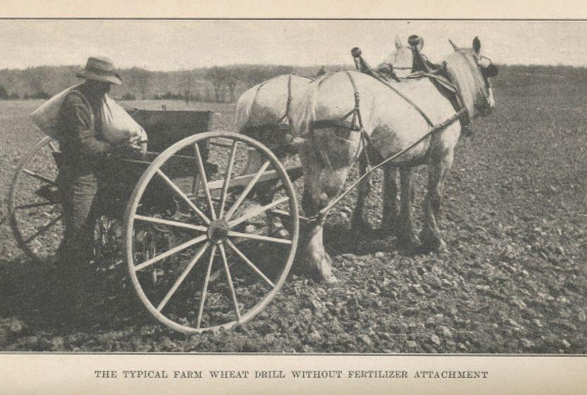 1908’den Bir Kitap: Book of Wheat 